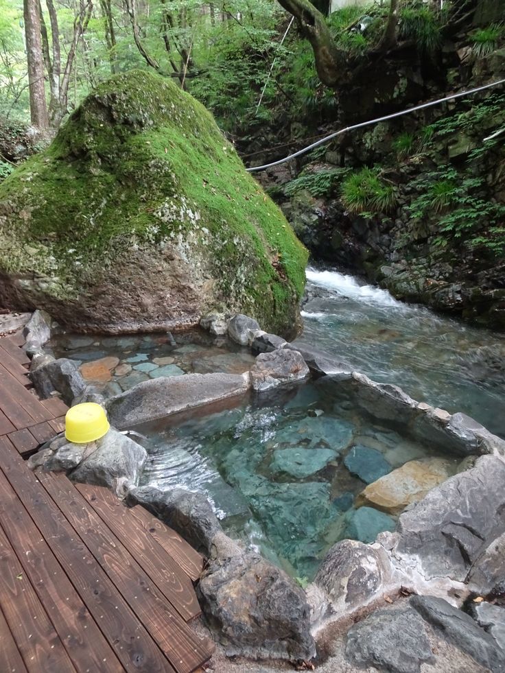 FOREST POOL · 이끼 바위와 계곡수 욕장